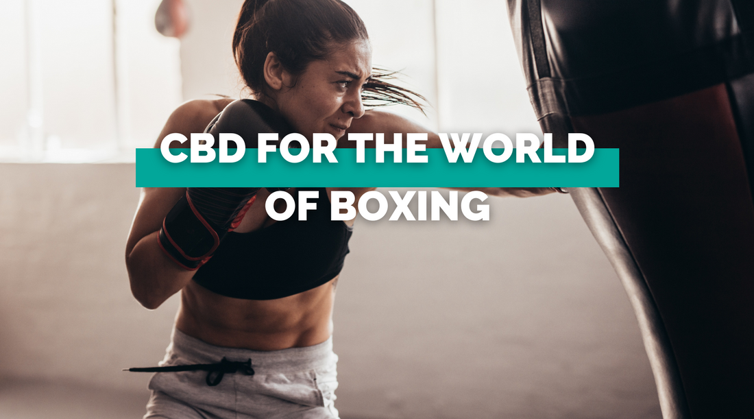 CBD For the World of Boxing