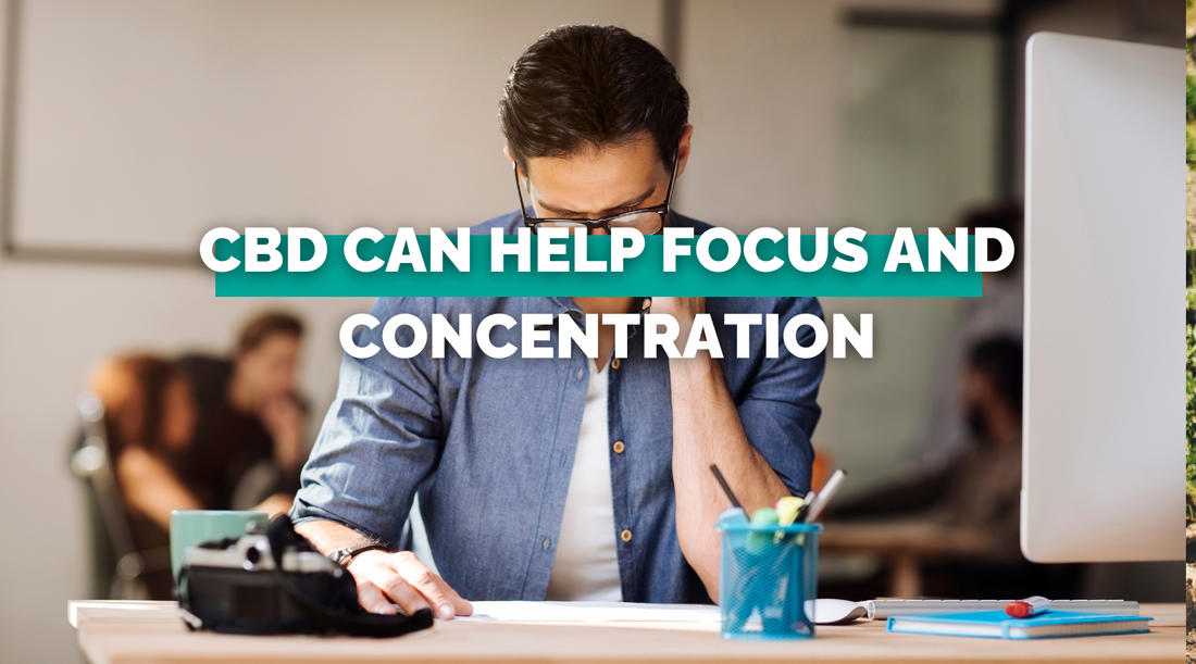 How CBD Can Help Focus and Concentration?