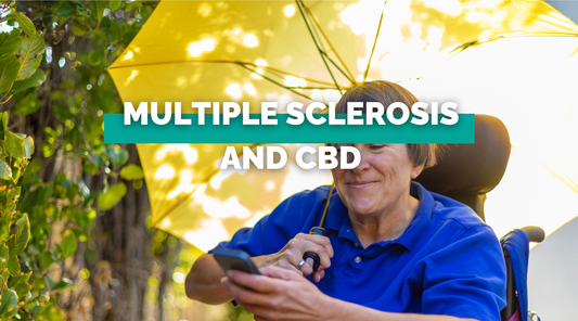 Multiple Sclerosis (MS) and CBD Oil