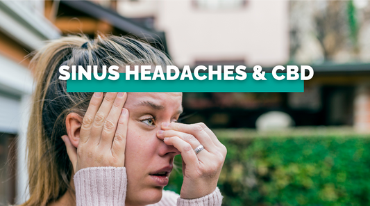 Sinus Headaches and CBD