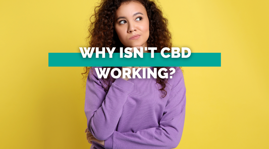 Why Isn't CBD Working?