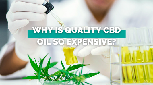 Why is Quality CBD Oil so Expensive?